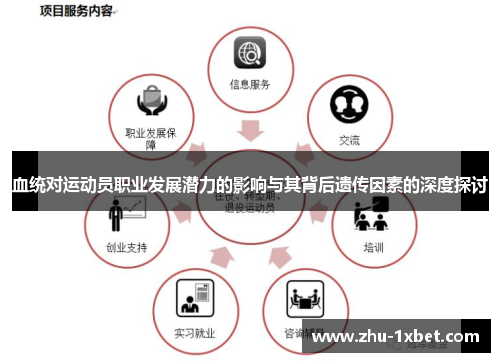 血统对运动员职业发展潜力的影响与其背后遗传因素的深度探讨